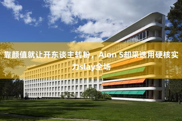 靠颜值就让开东谈主转粉，Aion S却采选用硬核实力slay全场