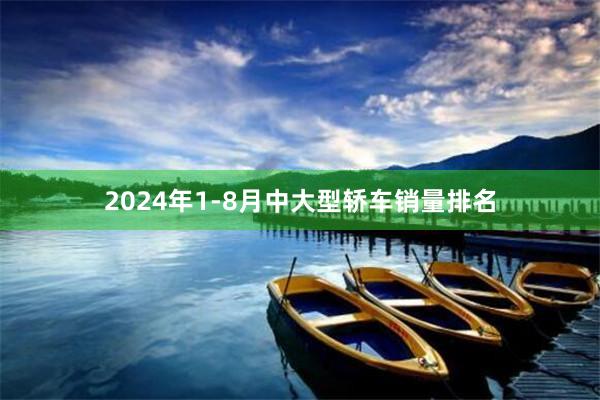 2024年1-8月中大型轿车销量排名