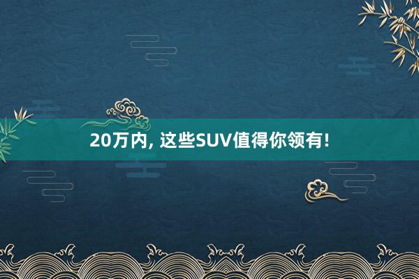 20万内, 这些SUV值得你领有!