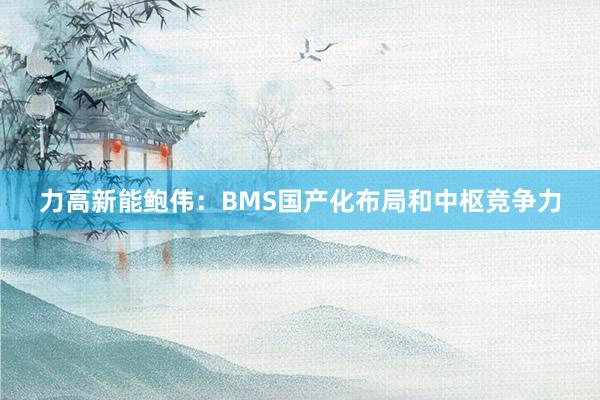 力高新能鲍伟：BMS国产化布局和中枢竞争力