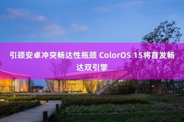 引颈安卓冲突畅达性瓶颈 ColorOS 15将首发畅达双引擎