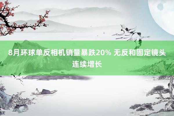 8月环球单反相机销量暴跌20% 无反和固定镜头连续增长