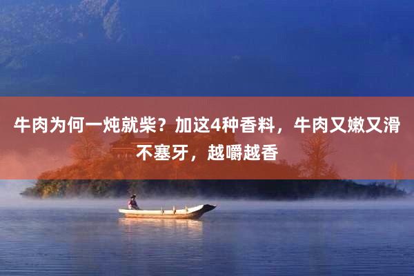 牛肉为何一炖就柴？加这4种香料，牛肉又嫩又滑不塞牙，越嚼越香