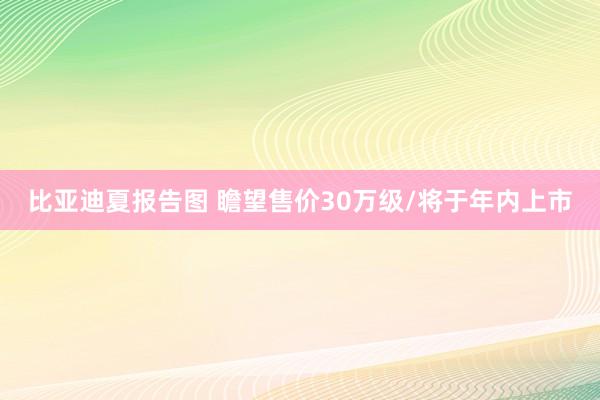 比亚迪夏报告图 瞻望售价30万级/将于年内上市