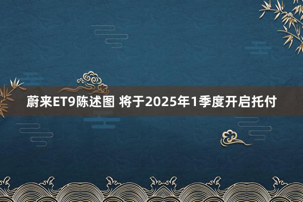 蔚来ET9陈述图 将于2025年1季度开启托付