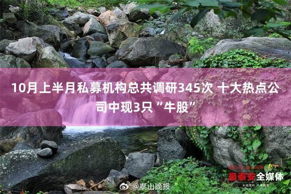 10月上半月私募机构总共调研345次 十大热点公司中现3只“牛股”