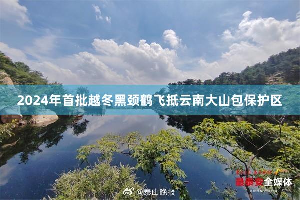 2024年首批越冬黑颈鹤飞抵云南大山包保护区